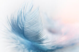 What needs to be done after an expected death
