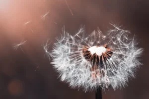 Managing Breathlessness at End of Life